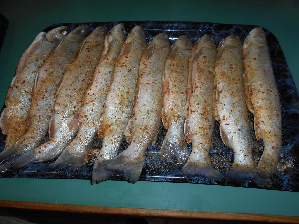 Penzion Alpina Silz